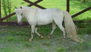 jbrranch.com Bryland