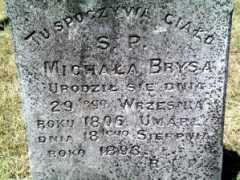 Brysa