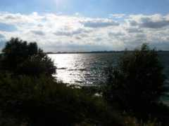 Brzeg