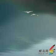 travel.fengniao.com Bsak