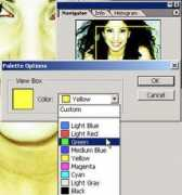 tutorialstraining.com Bscs
