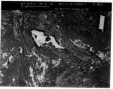 space-env.esa.int Bssem