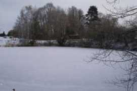 Bteich
