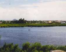 arubabirds.com Bubali