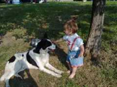 luckyhusky.de Bubaloo