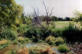 psrealtors.com Bubert