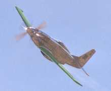 warbird.com Buccarelli