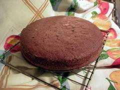 Bucchiere