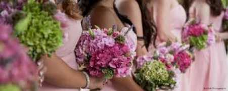 sacbride.com Bucheli