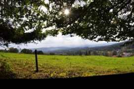 Buchenau