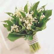 Buchet