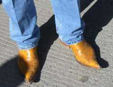 lifewellspent.com Buckes