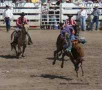 fivestarranch.com Bucking