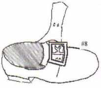 fugawee.com Buckins