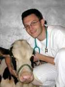 medvet.umontreal.ca Buczinski