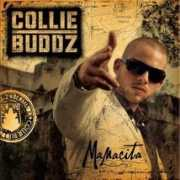 Buddz