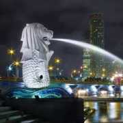 wayn.com Budhiawan