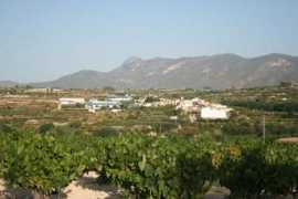 panoramio.com Bufali