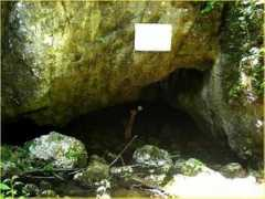 Buhui