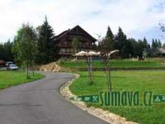 Buina