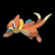 pokemon.neoseeker.com Buizel