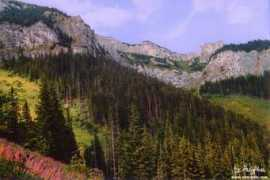 tatry.info Bujacz