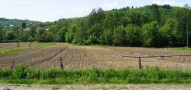 Bujoi