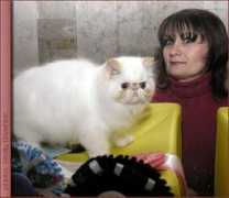 ltch-cattery.com Bukalova