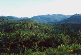 panoramio.com Bukid