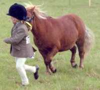 bulbystables.com Bulby