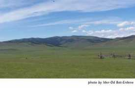 oyungerel.org Bulgan