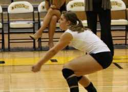 ohiodominican.prestosports.com Bulkiewicz