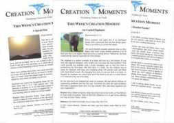 creationmoments.com Bulletin