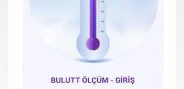 Bulutt