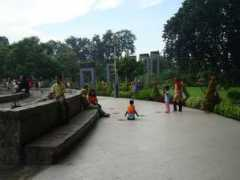 Bungkul