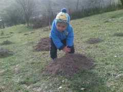 Bunici