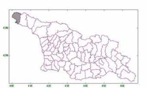 Bunkina