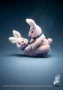 Bunnies