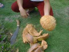 bohol.ph Bunot