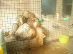 kinspa.com Bunou