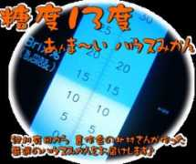 rakuten.co.jp Bunza