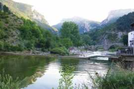 Burgi
