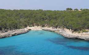 mallorcatour.net Burgit