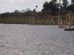 panoramio.com Buritis
