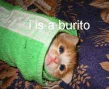 erroraccessdenied.com Burito