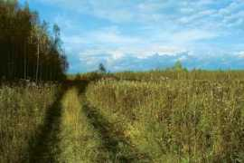 newsera.ru Burjan