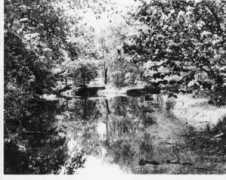 Burkiewicz
