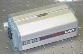 Burle