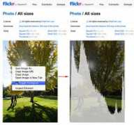 petapixel.com Burlett