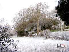 castleuk.net Burlow